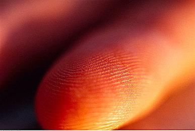 趣味场景化体验 海豹06GT×《黑神话：悟空》联动引领跨界合作新潮流